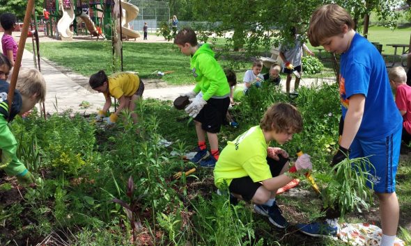 News students work to cleanup the butterfly gardens