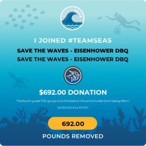 Save the waves fundraiser